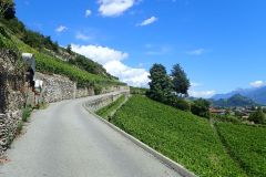 2023-07-30 - Chemin des vignes