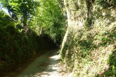 2023-08-16 - Chemin creux